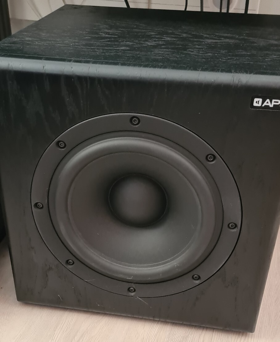 APS SUB 10 Subwoofer